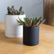 Romey Planter